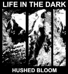 Hushed Bloom