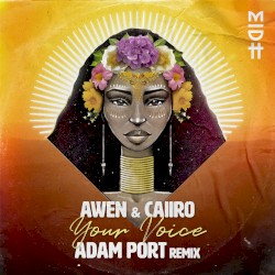 Your Voice (Adam Port remix)