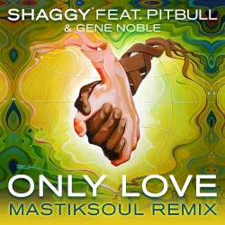 Only Love (Mastiksoul remix)