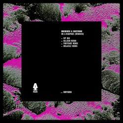 On A Rampage (Remixes)