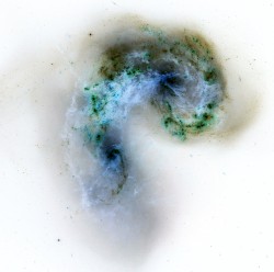 The Astral Fetus