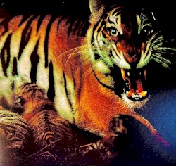 This Music Is Fucking Intense