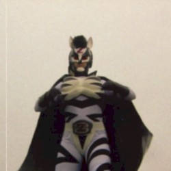 ZEBRAMAN