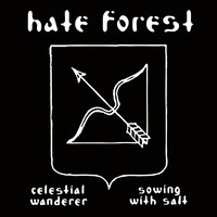 Celestial Wanderer / Sowing With Salt
