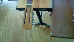 Here Today Gone Tomorrow