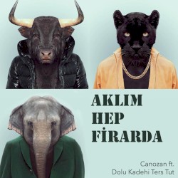 Aklım Hep Firarda
