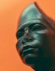 Distortion of Proportion