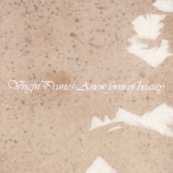 A New Form Of Beauty