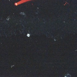 Superstylin’ (DJ Q bootleg)