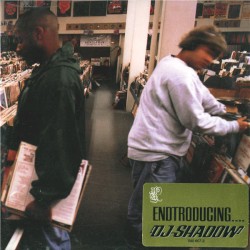Endtroducing...