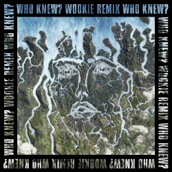 Who Knew? (Wookie remix)