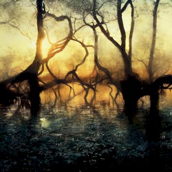 boundless sorrow