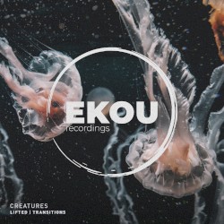 Lifted / Transitions