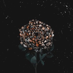 LD031 Geju & Iorie – V Forme Roz Ep