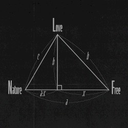TENT 0.7