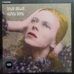 Hunky Dory