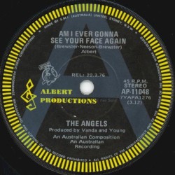 Am I Ever Gonna See Your Face Again