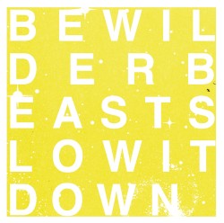 Slow It Down