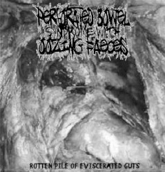 Rotten Pile Of Eviscerated Guts