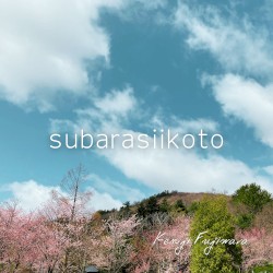 subarasiikoto