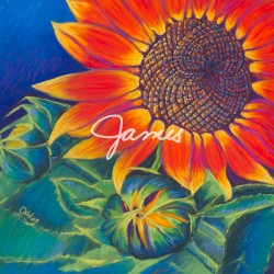 James