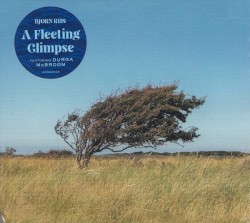 A Fleeting Glimpse