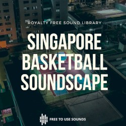 Basketball Court Sound Effects - Singapore