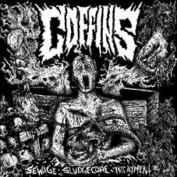 Sewage Sludgecore Treatment