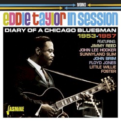 In Session: Diary Of A Chicago Bluesman 1953-1957