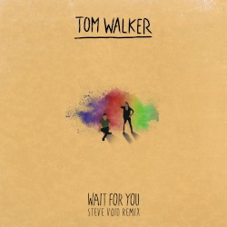 Wait for You (Steve Void remix)