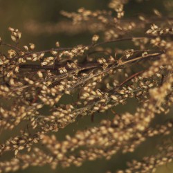 состояния : страх