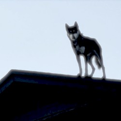 World’s Only Holy Ghost Filled Man