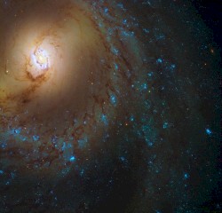 M95