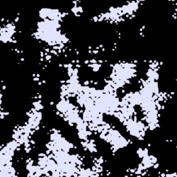 Lost Noise