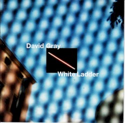 White Ladder