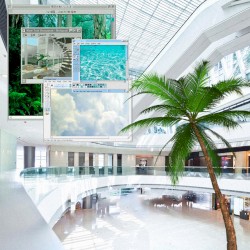 ≋™≋𝐃𝐞𝐥𝐮𝐱𝐞 𝐕𝐢𝐬𝐢𝐨𝐧𝐬≋™≋