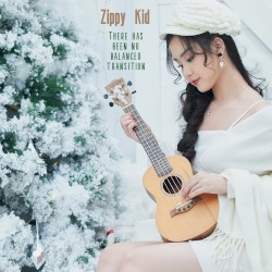 There Has Been No Balanced Transition