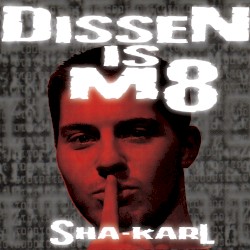Dissen Is M8