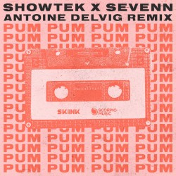 Pum Pum (Antoine Delvig Remix)