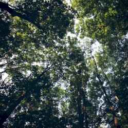 When You Take One Step Towards God,God Will Take Ten Steps Towards You