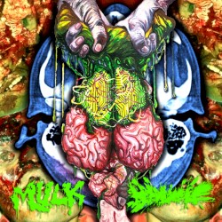 Mulk / Hydrocele Split