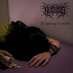 A Journey to Suicide