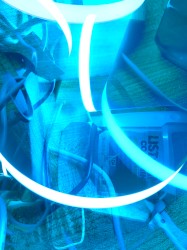 Freeroam 48 :: Listerine means clean, Lotion means motion