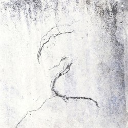 Impressions