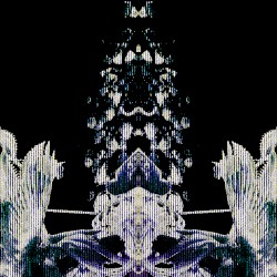 𝙃𝙖𝙙𝙞𝙦𝙖