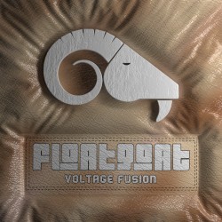 Voltage Fusion