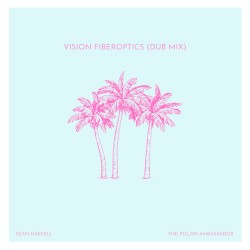 Vision Fiberoptics (dub mix)