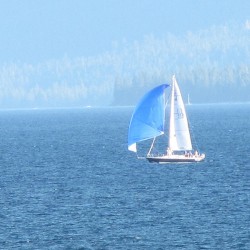 Orinoco Flow (PrototypeRaptor's Sailing Away Bootleg Remix)