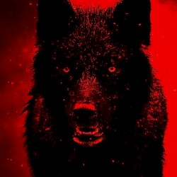 KÄMPFERNATUR I Freestyle Mittwuch