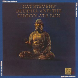 Buddha And The Chocolate Box